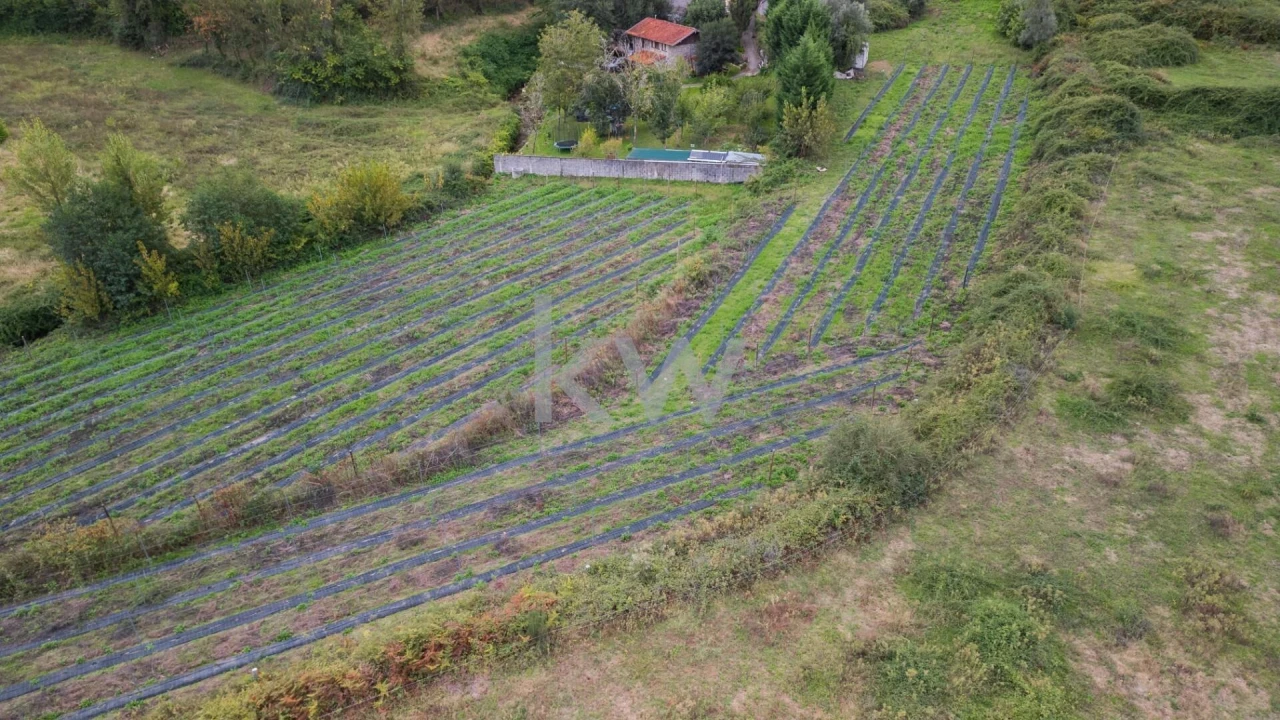 Terreno para Venda em Águas Santas e Moure Foto 11