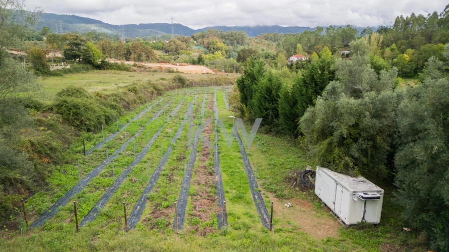 Terreno para Venda em Águas Santas e Moure Foto 17