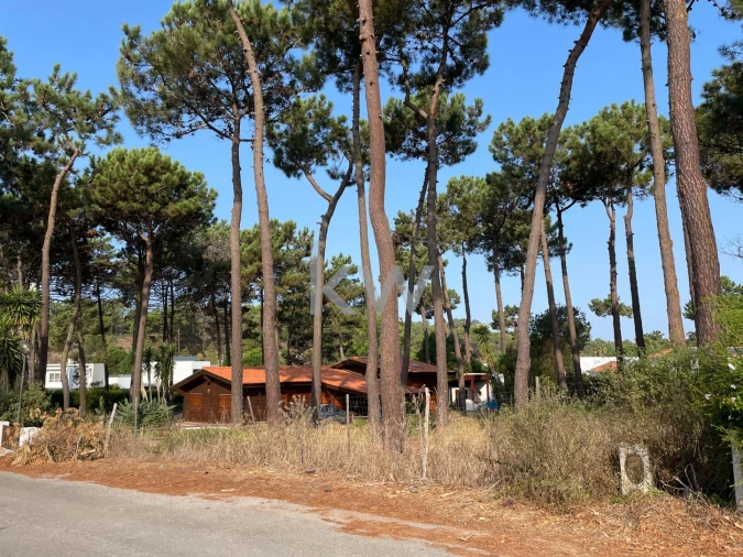 Terreno para Venda em Charneca de Caparica e Sobreda Foto 5