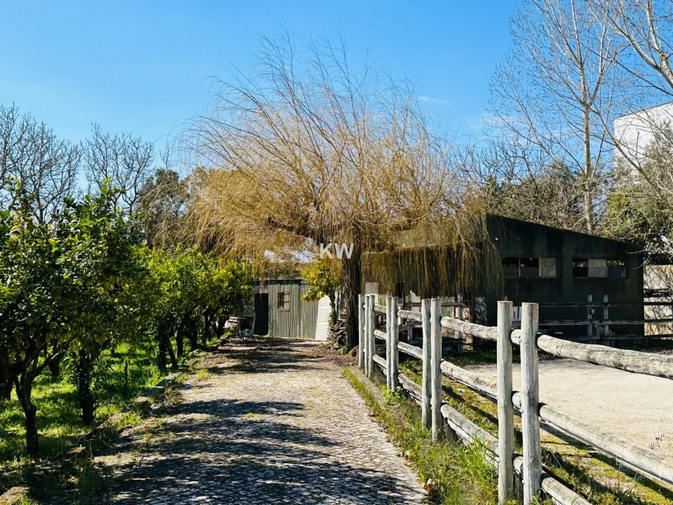 Moradia T17 para Venda em Abrigada e Cabanas de Torres Foto 18