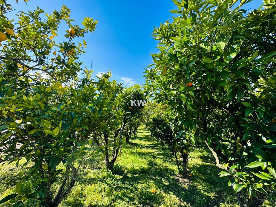 Moradia T17 para Venda em Abrigada e Cabanas de Torres Foto 15