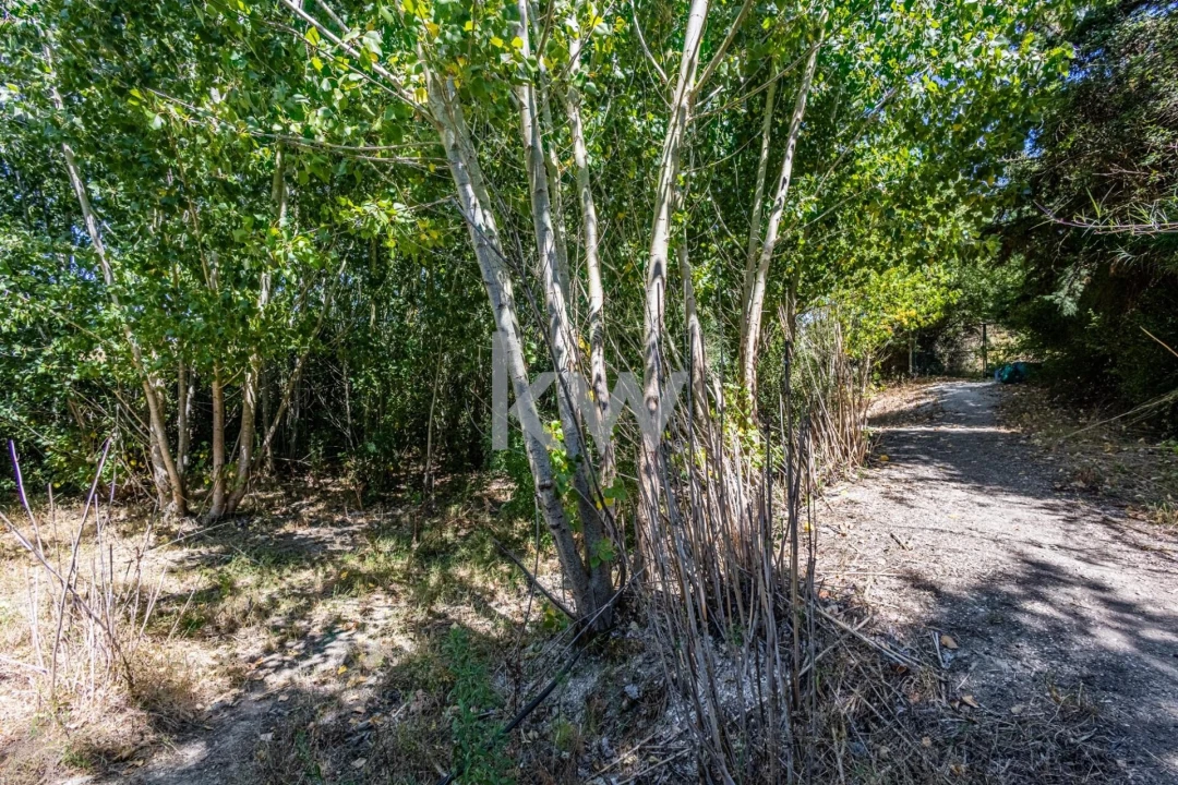 Terreno para Venda em Marvila, Ribeira Santarém, São Salvador, São Nicolau Foto 29