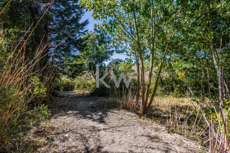 Terreno para Venda em Marvila, Ribeira Santarém, São Salvador, São Nicolau Foto 31