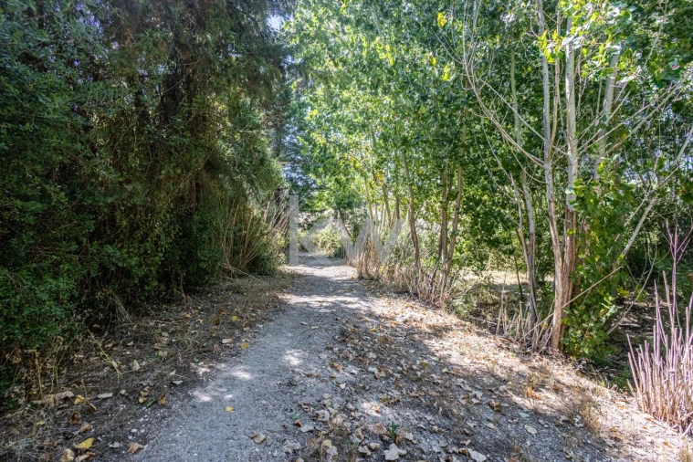 Terreno para Venda em Marvila, Ribeira Santarém, São Salvador, São Nicolau Foto 34