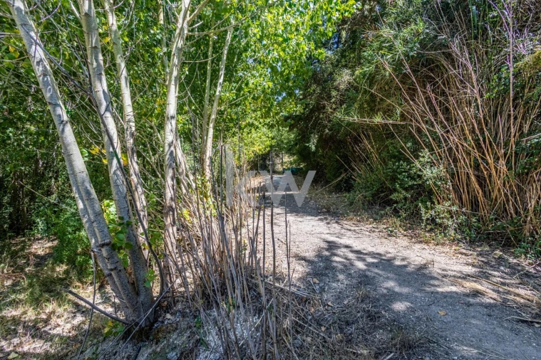 Terreno para Venda em Marvila, Ribeira Santarém, São Salvador, São Nicolau Foto 28