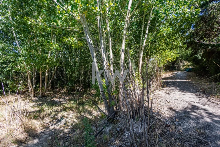Terreno para Venda em Marvila, Ribeira Santarém, São Salvador, São Nicolau Foto 29