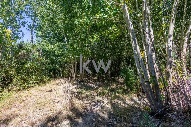 Terreno para Venda em Marvila, Ribeira Santarém, São Salvador, São Nicolau Foto 27