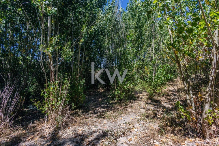 Terreno para Venda em Marvila, Ribeira Santarém, São Salvador, São Nicolau Foto 33