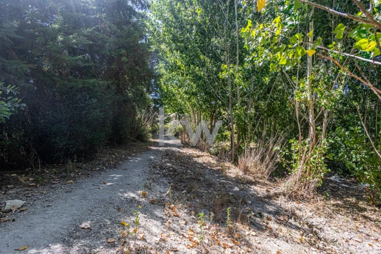 Terreno para Venda em Marvila, Ribeira Santarém, São Salvador, São Nicolau Foto 32