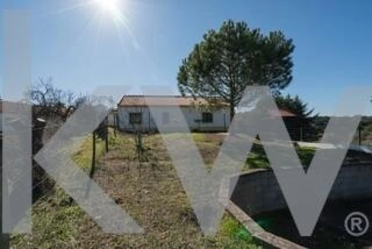 Quinta T6 para Venda em São Martinho Foto 23