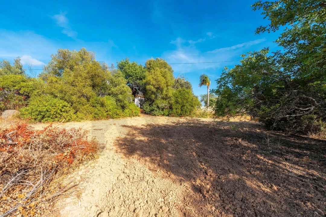 Prédio para Venda em Santa Barbara de Nexe Foto 12