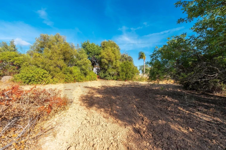 Prédio para Venda em Santa Barbara de Nexe Foto 12