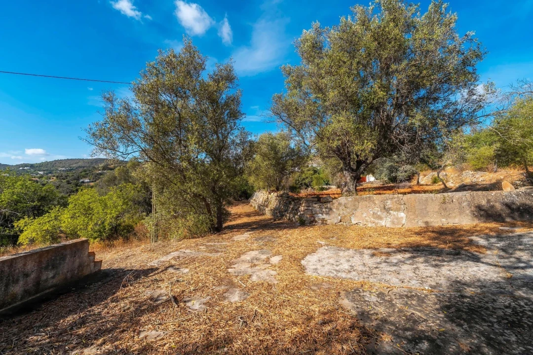 Prédio para Venda em Santa Barbara de Nexe Foto 13