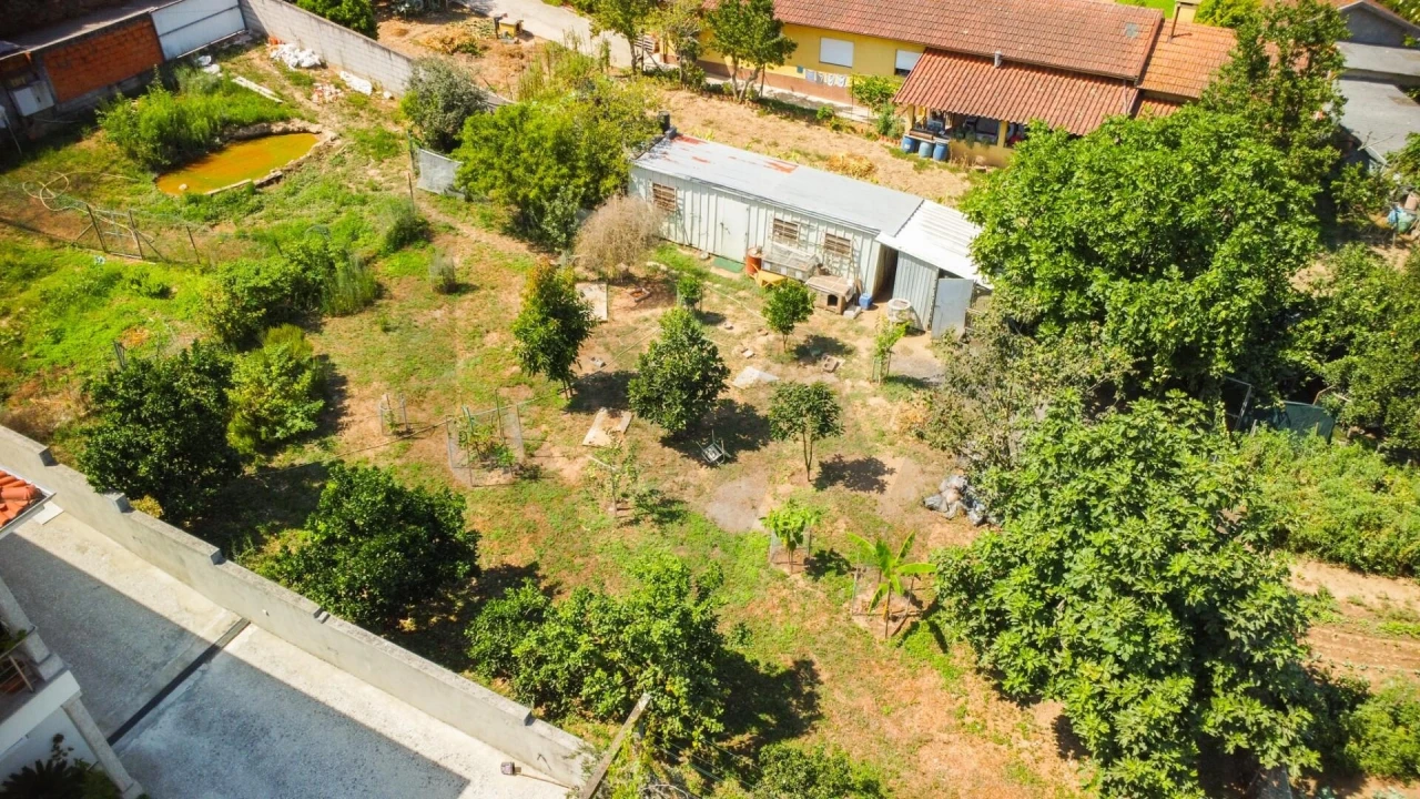 Terreno para Venda em São João de Ver Foto 20