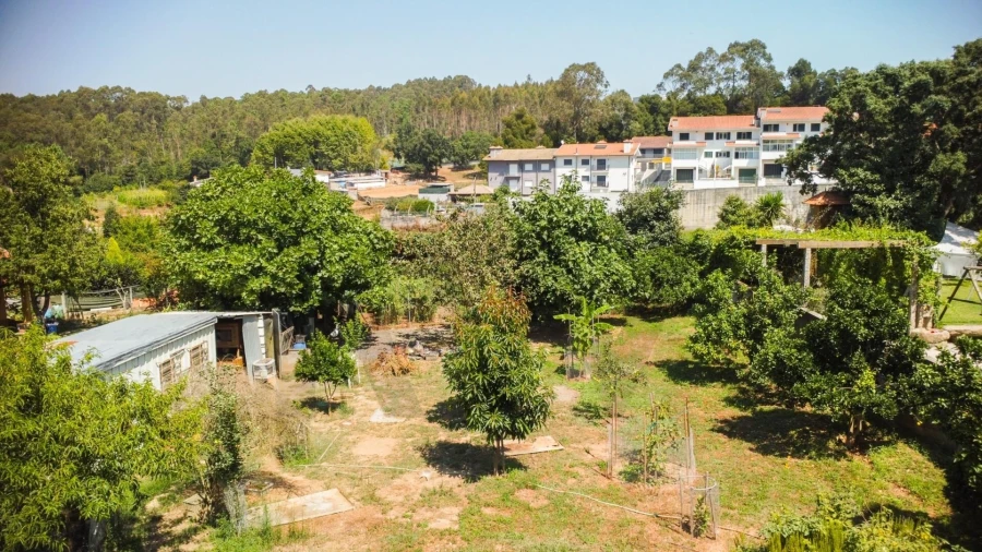 Terreno para Venda em São João de Ver Foto 15