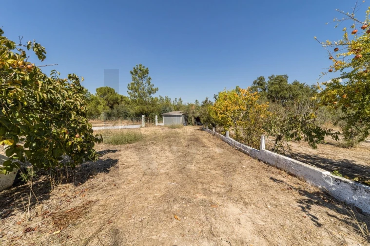 Quinta T2 para Venda em Cortiçadas de Lavre e Lavre Foto 23