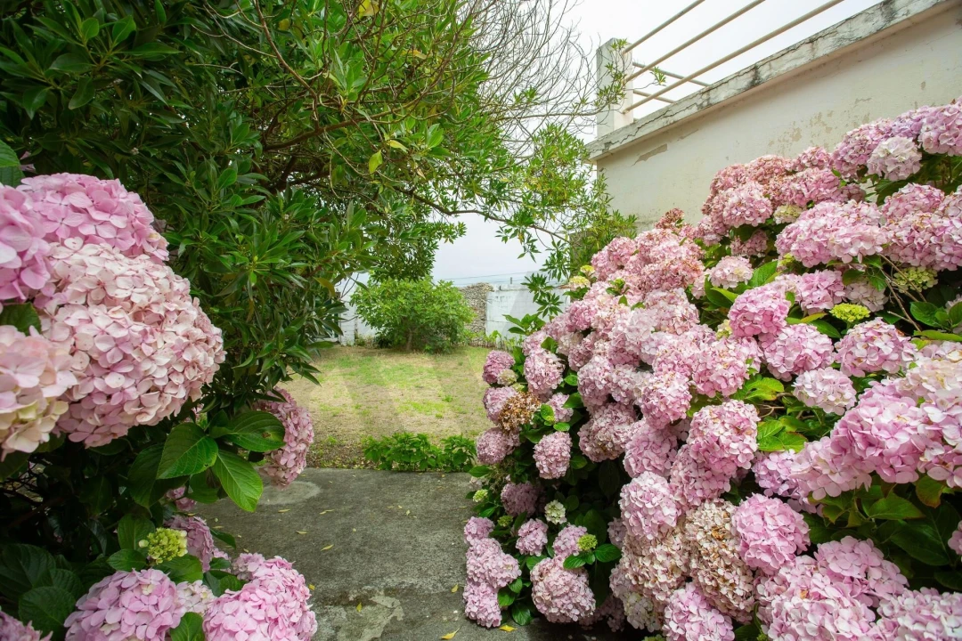 Prédio para Venda em Nazare Foto 85