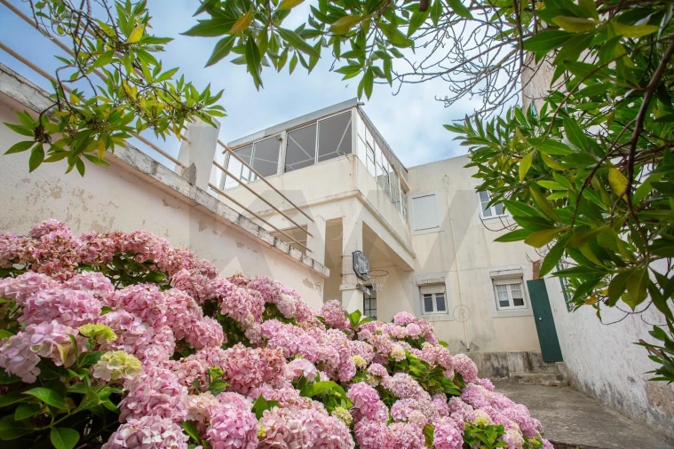 Prédio para Venda em Nazare Foto 86