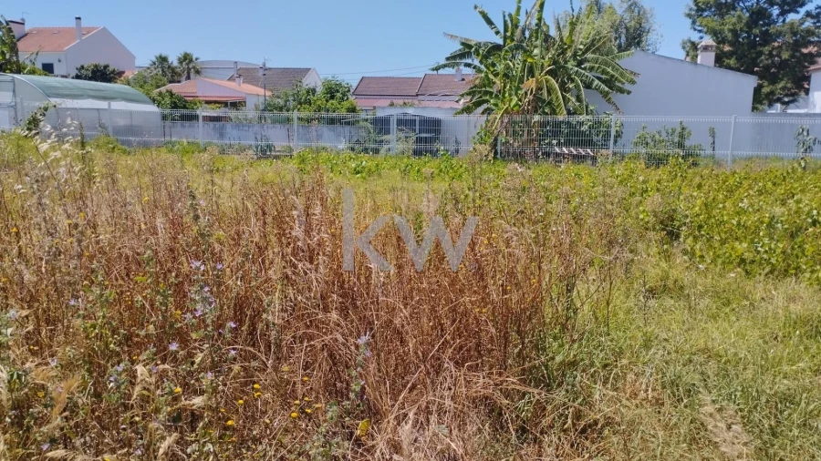 Terreno para Venda em Pegões Foto 6