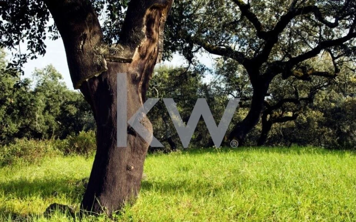 Moradia T5 para Venda em Ameixial (Santa Vitória e São Bento) Foto 6