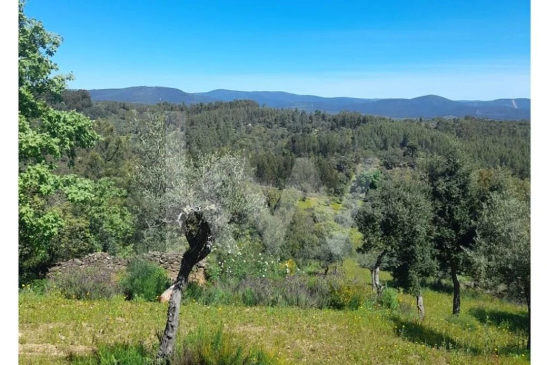 Terreno para Venda em Aranhas Foto 11