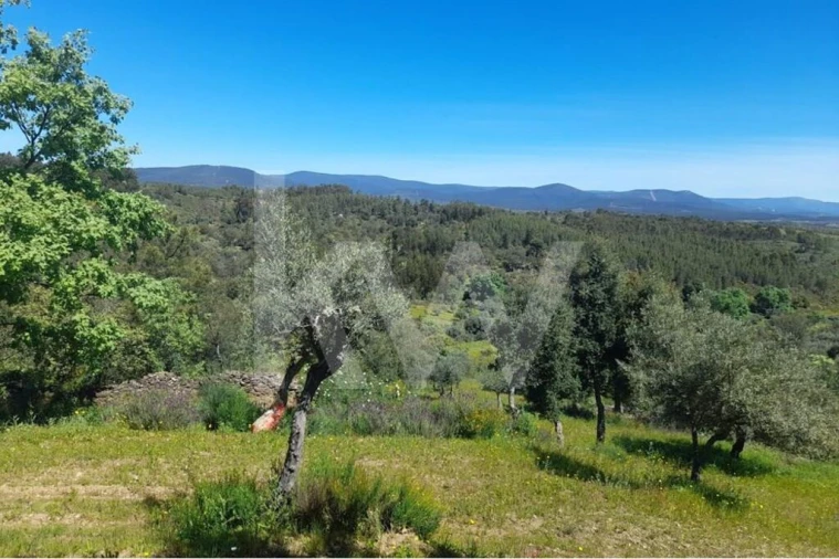 Terreno para Venda em Aranhas Foto 5
