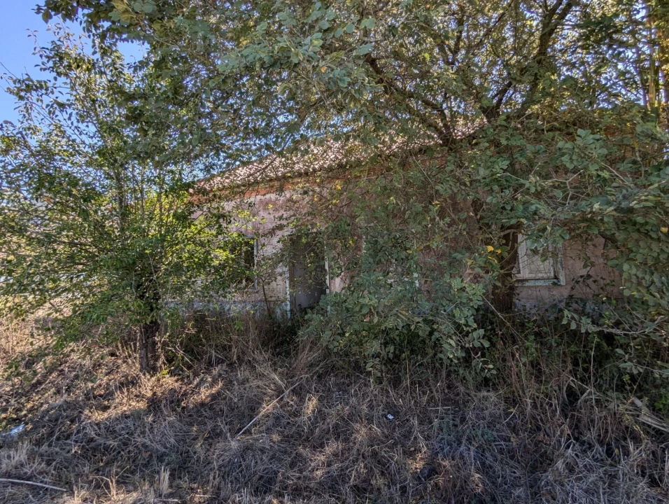Quinta T3 para Venda em Santiago do Cacém, Santa Cruz e São Bartolomeu da Serra Foto 5