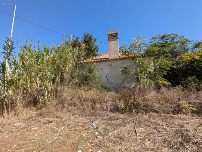 Quinta T3 para Venda em Santiago do Cacém, Santa Cruz e São Bartolomeu da Serra Foto 4