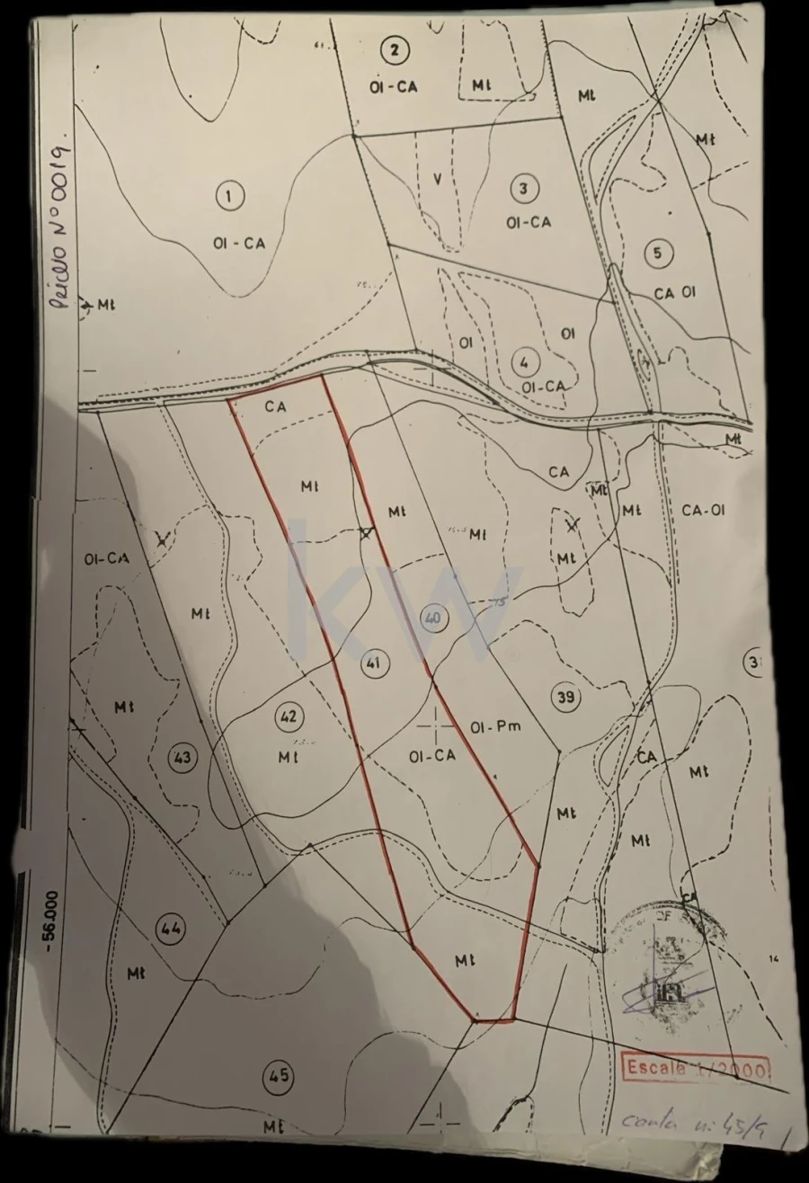 Terreno para Venda em Almoster Foto 18