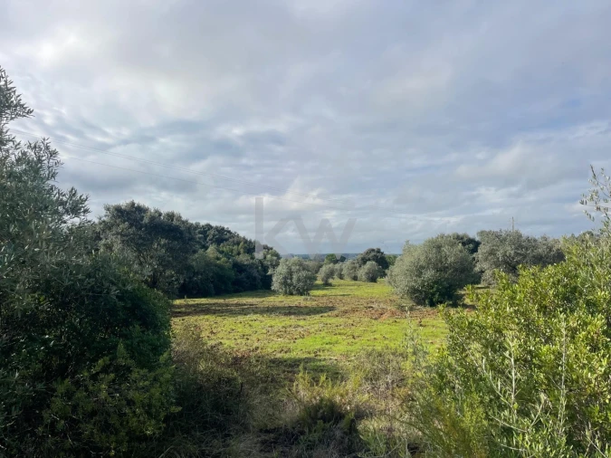 Terreno para Venda em Almoster Foto 5