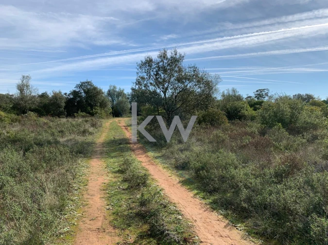 Terreno para Venda em Almoster Foto 11