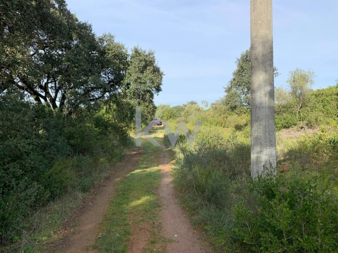 Terreno para Venda em Almoster Foto 10