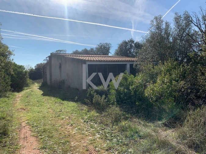 Terreno para Venda em Almoster Foto 8