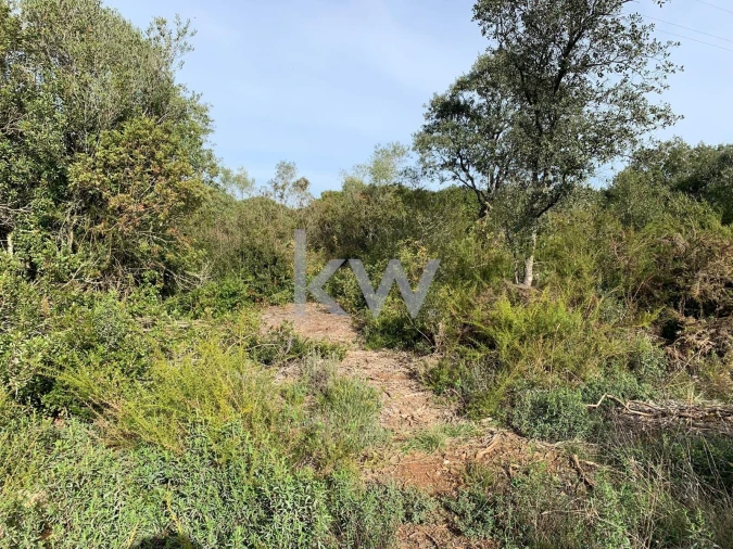 Terreno para Venda em Almoster Foto 3