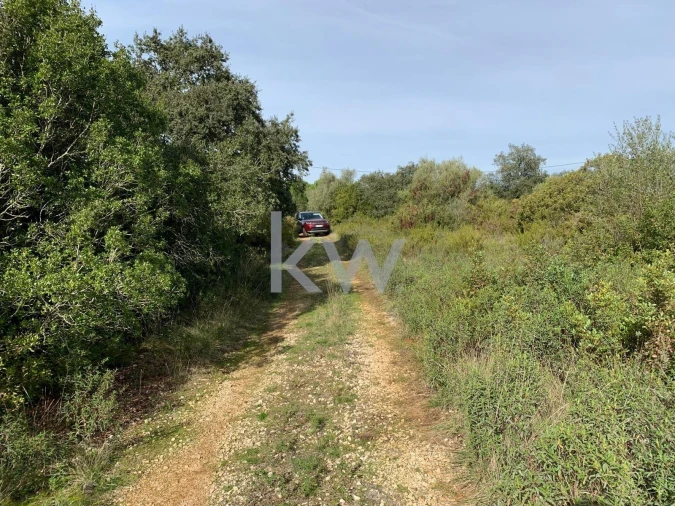 Terreno para Venda em Almoster Foto 12