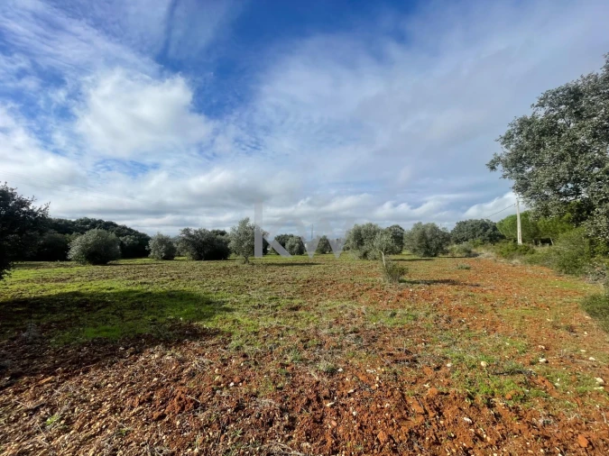 Terreno para Venda em Almoster Foto 1