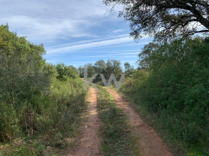 Terreno para Venda em Almoster Foto 13