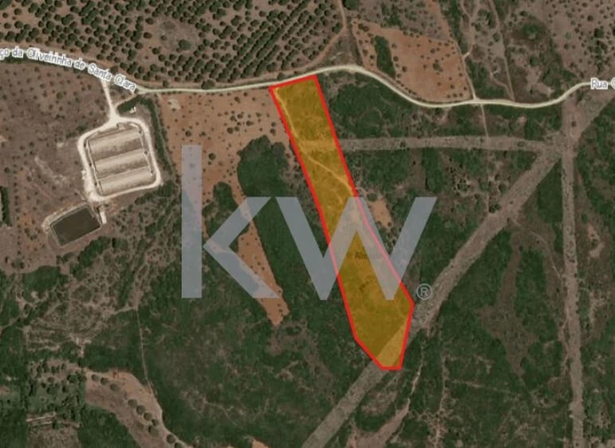 Terreno para Venda em Almoster Foto 2