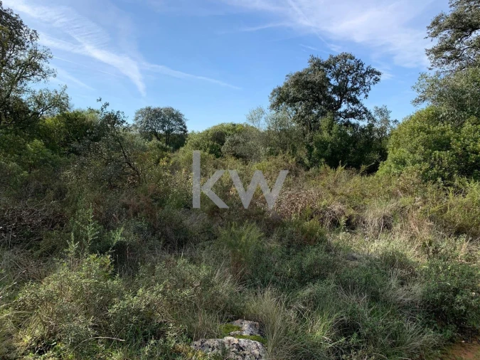 Terreno para Venda em Almoster Foto 9