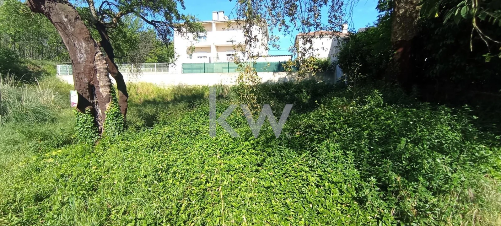 Terreno para Venda em Travassô e Óis da Ribeira Foto 12