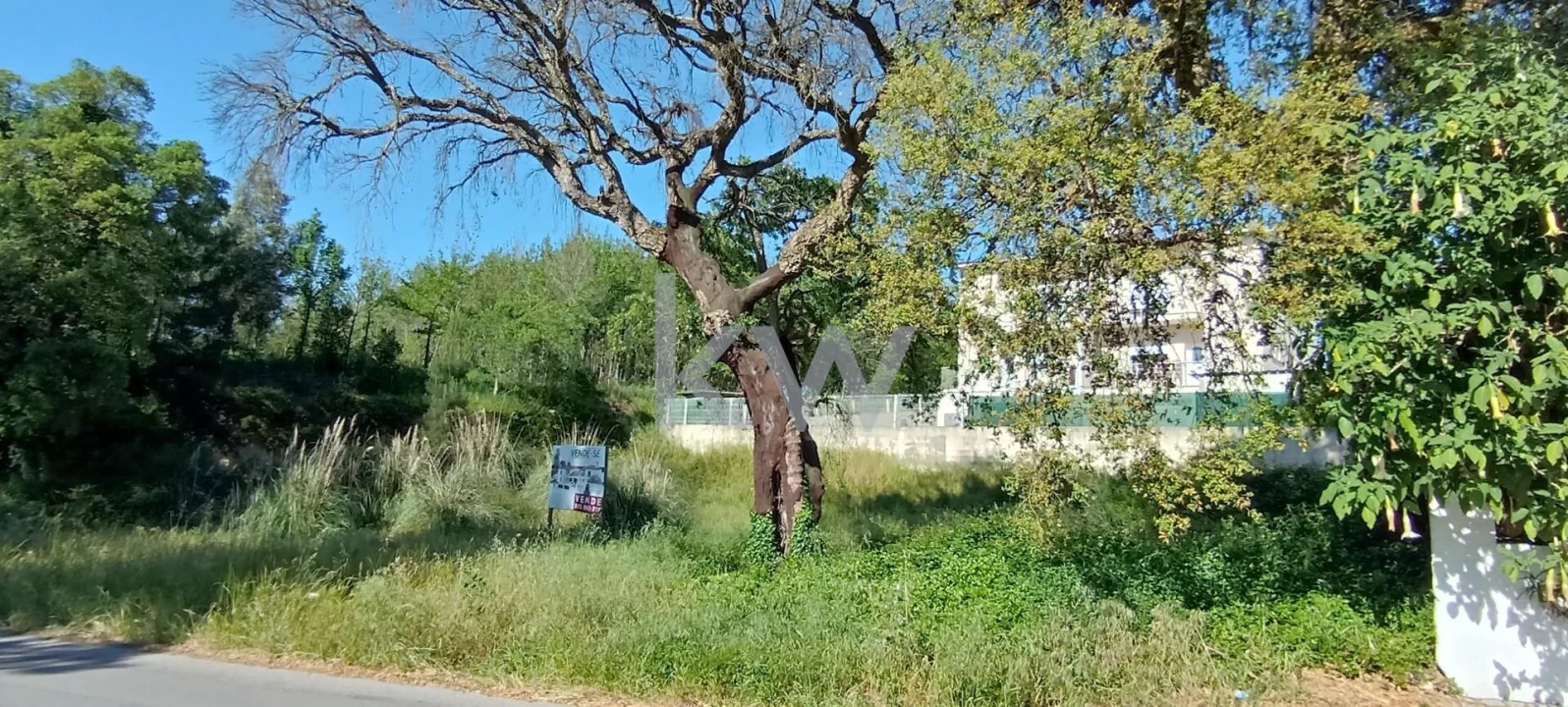Terreno para Venda em Travassô e Óis da Ribeira Foto 8