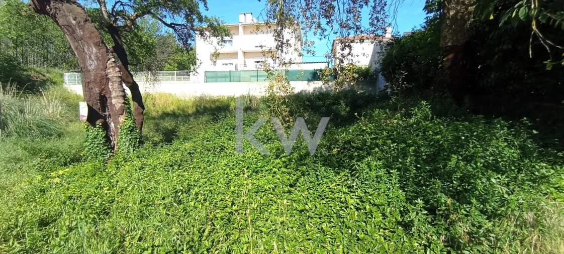 Terreno para Venda em Travassô e Óis da Ribeira Foto 12