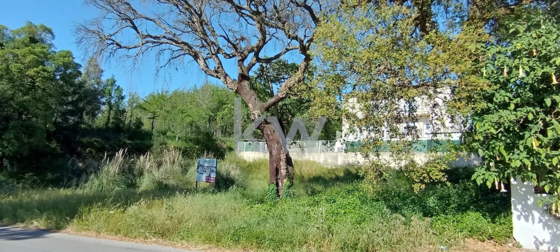Terreno para Venda em Travassô e Óis da Ribeira Foto 8