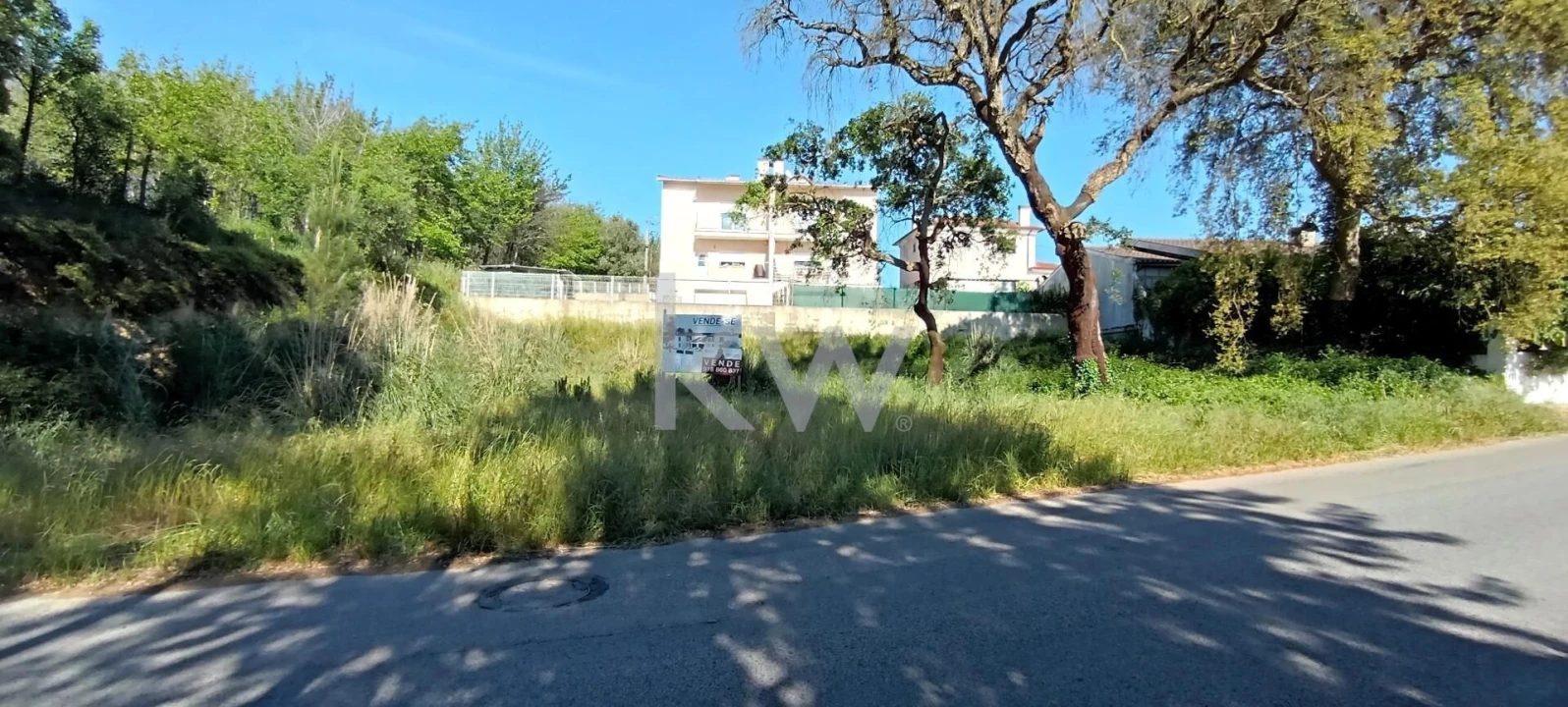 Terreno para Venda em Travassô e Óis da Ribeira Foto 11