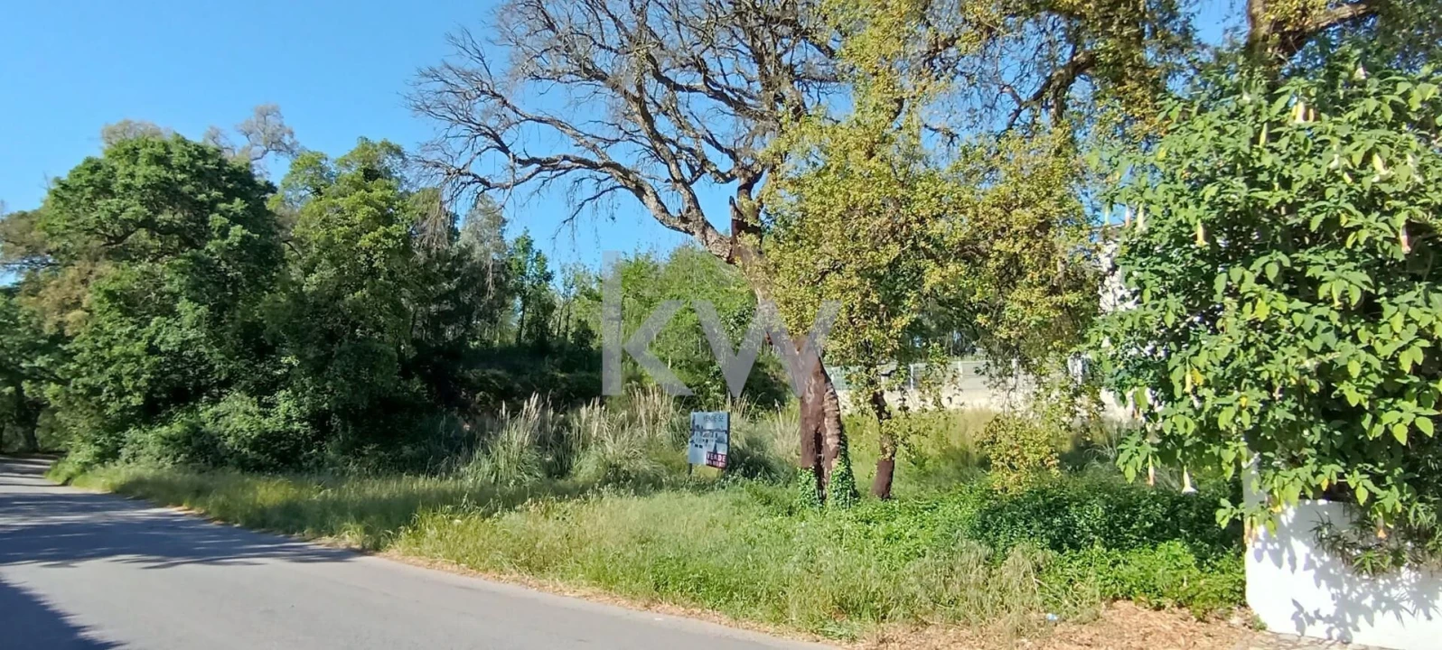 Terreno para Venda em Travassô e Óis da Ribeira Foto 7
