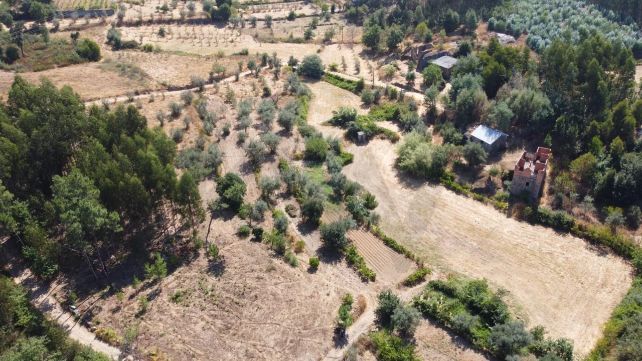 Terreno para Venda em Candosa Foto 8