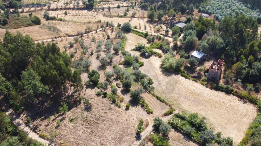 Terreno para Venda em Candosa Foto 8