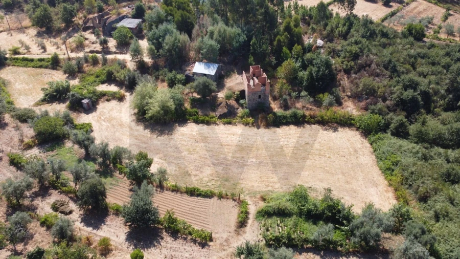 Terreno para Venda em Candosa Foto 6