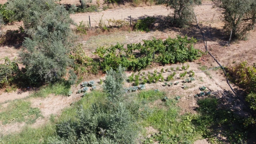 Terreno para Venda em Candosa Foto 9