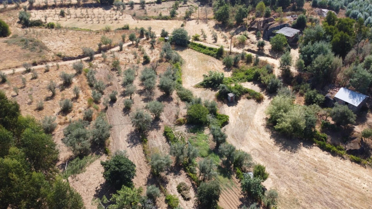 Terreno para Venda em Candosa Foto 10